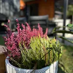 Superior Bursztyn - Balia Z Hydromasazem Prázdninový dům Mrzeżyno