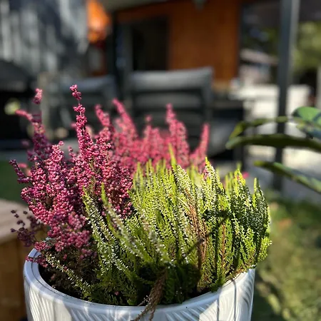 Superior Bursztyn - Balia Z Hydromasazem Дом отдыха Мжежино