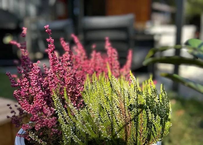 Superior Bursztyn - Balia Z Hydromasazem Semesterbostad Mrzeżyno